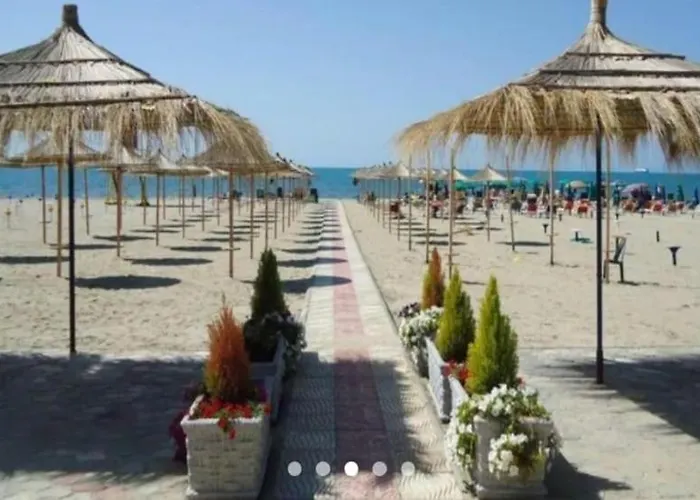 - Ana 2 *
